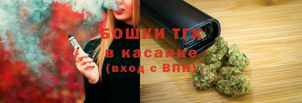 молекула духа Михайловск