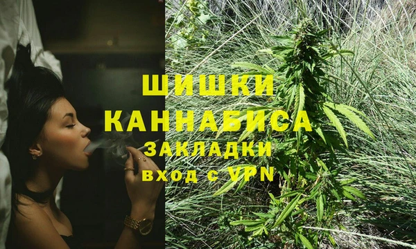 спиды Михайловка