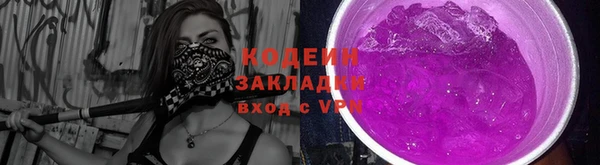 молекула духа Михайловск