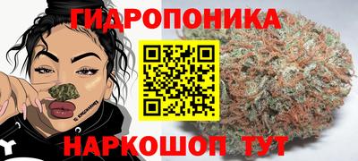 мяу мяу мука Гатчина