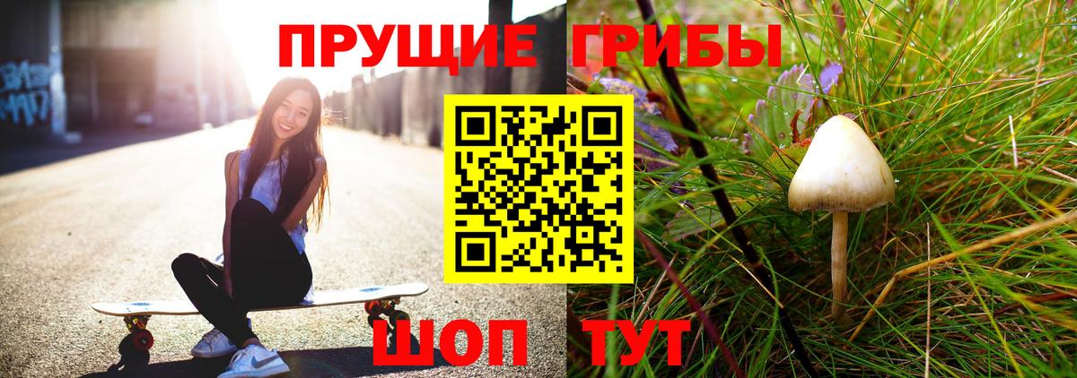 Канаш  Галлюциногенные грибы Psilocybine cubensis  Вход с VPN 